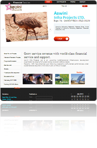 web2_img1