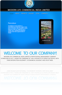 web2_img1